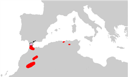 Σύγχρονη γεωγραφική εξάπλωση του <em>Macaca sylvanus</em>