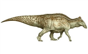<em>Edmontosaurus</em>