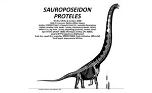 <em>Sauroposeidon proteles</em>