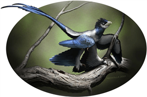 <em>Wulong bohaiensis</em>