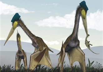 <em>Quetzalcoatlus</em>
