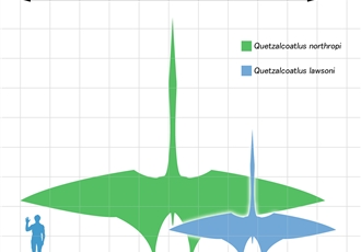 Μέγεθος <em>Quetzalcoatlus</em>