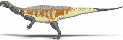 <em>Plateosaurus engelhardti</em>
